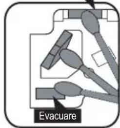 Evacuare
