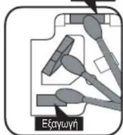 Eçaywný