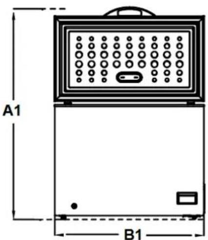 A1 B1