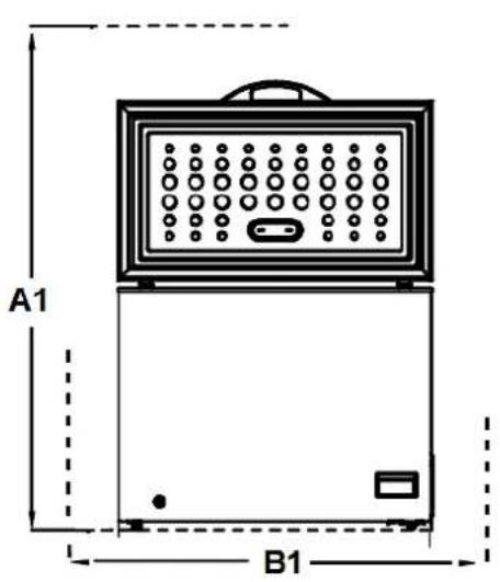 A1 B1