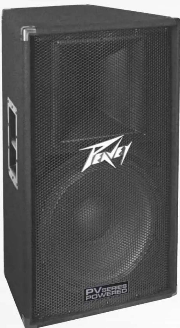 PEAVEY PV 115D - 1