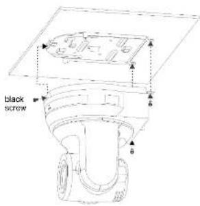 black screw