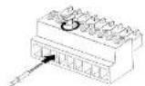 Marshall Electronics CV730-NDI - Marshall - 2