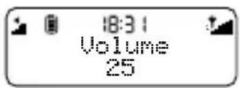 18:31 Volume 25