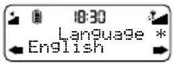 10:30 Language * English