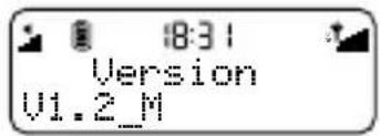 18:31 Version V1.2_M