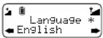 Language * English