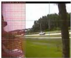 Intellinet 550796 - Motion Detection Area - 4