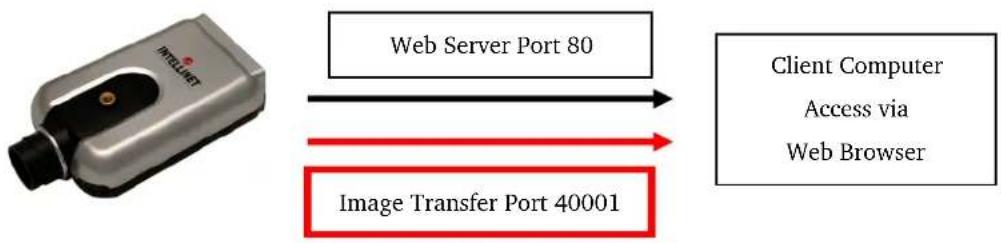 Intellinet 550796 - As a rule: - 1
