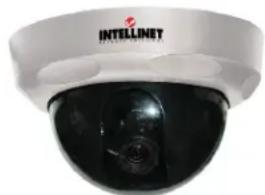 Intellinet 550796 - MPEG4 + Motion-JPEG Dual Mode, CCD, PAL - 1