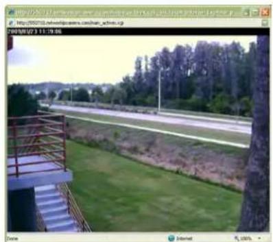 Intellinet 550796 - Show Only Image - 1