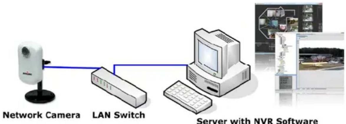 Intellinet NFD30 - Netzwerkkameras - 2