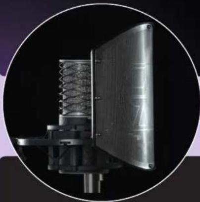 Close-up of a mechanical device with spring and metallic frame, enclosed in a circular frame (no visible text or symbols)