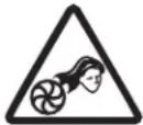 Sun Joe SBJ605E-RM - Safety Symbols - 9