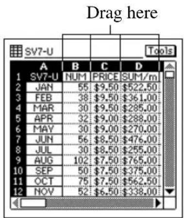 CASIO PV-S460 - To change the width of a column by dragging its boundary - 1