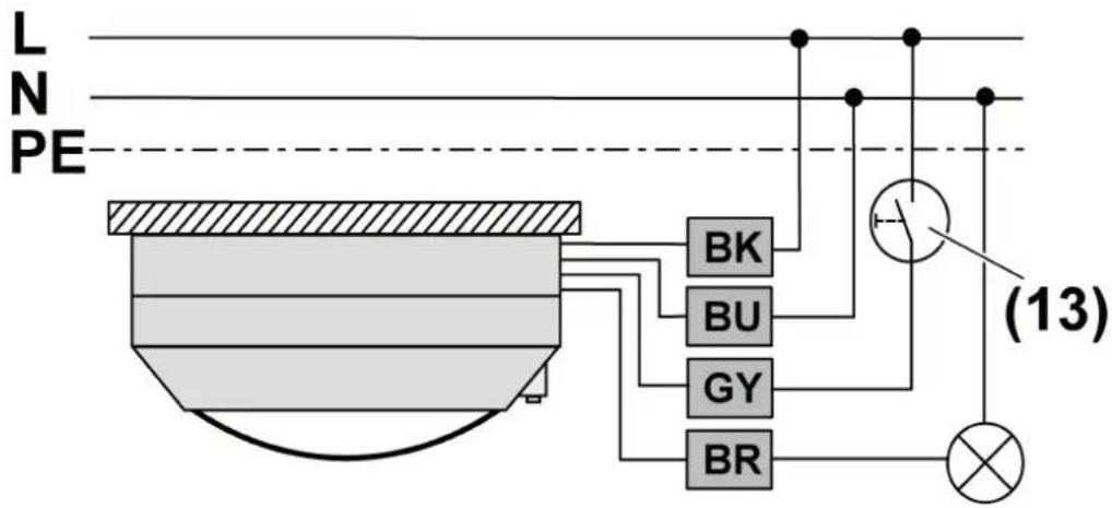 L N PE BK BU GY BR (13)