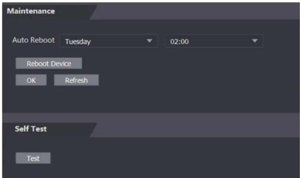 Maintenance Auto Reboot Tuesday 02:00 Reboot Device OK Refresh Self Test Test