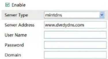 Enable Server Type mintdns Server Address www.dvrdydns.com User Name Password Domain