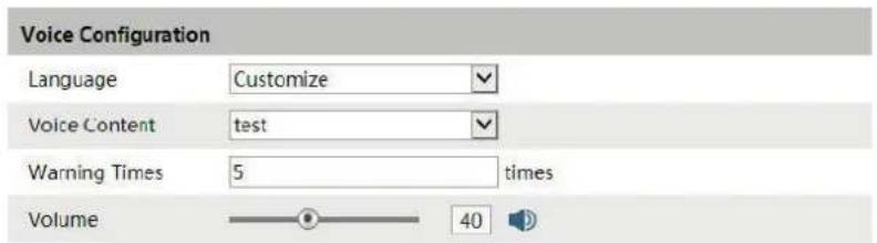 Voice Configuration Language Customize Voice Content test Warning Times 5 times Volume 40