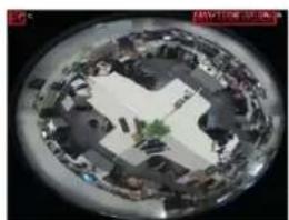 Vimar ELVOX 4621.2812ESA - - Flusso video - 2