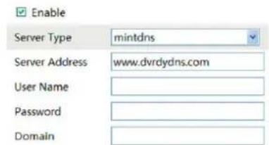 Enable Server Type mintdns Server Address www.dvrdydns.com User Name Password Domain