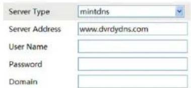 Server Type mintdns Server Address www.dvrdydns.com User Name Password Domain
