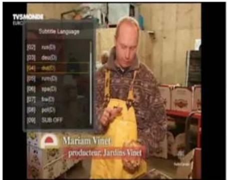 TV3MONDE EURC Subtle Language [02] ram(D) [03] deu(D) [04] dev(D) [05] rum(D) [06] spa(D) [07] haw(D) [08] pel(D) [09] SUB OFF Mariam Vinet producteur, Jardins Vinet