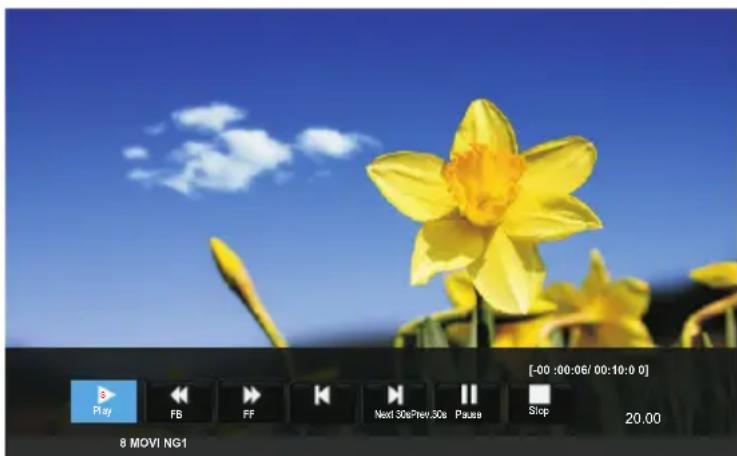 Play FB FF Next 30s/Prev.30s Pause Stop [-00:00:06/00:10:0 0] 8 MOVI NG1 20,00