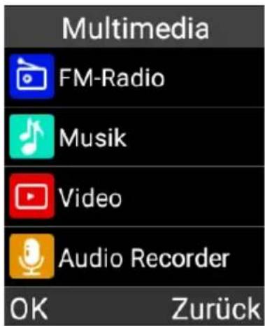 Multimedia FM-Radio Musik Video Audio Recorder OK Zurück