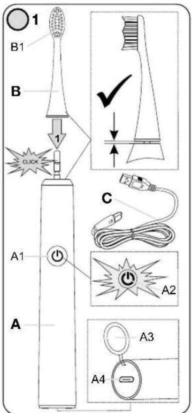 1 B1 B 1 CLICK A1 A C A2 A3 A4