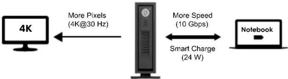 Icy Box IB-367-CPD+ - USB Power Delivery and alternate mode - 1