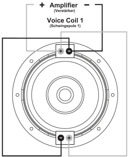 + Amplifier (Verstärker) Voice Coil 1 (Schwingspule 1)