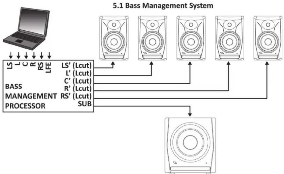 Eikon EK10SW - BASS MANAGEMENT - 1