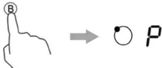 B → ○ P