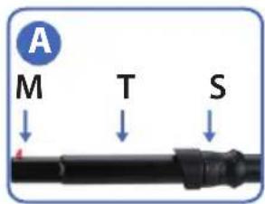 A M T S