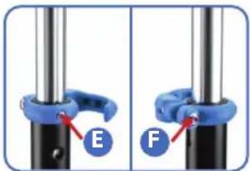 E F