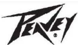 PEAVEY Mini MEGA - Caution - 1