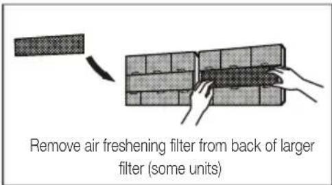Remove air freshening filter from back of larger filter (some units)