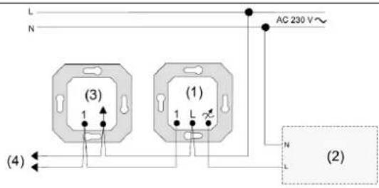 (3) (1) (4) AC 230 V~ (2)