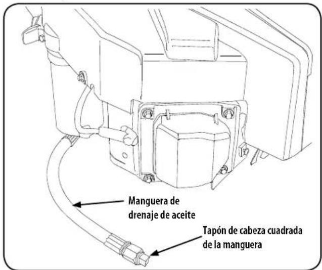 Manguera de drenaje de aceite Tapón de cabeza cuadrada de la manguera