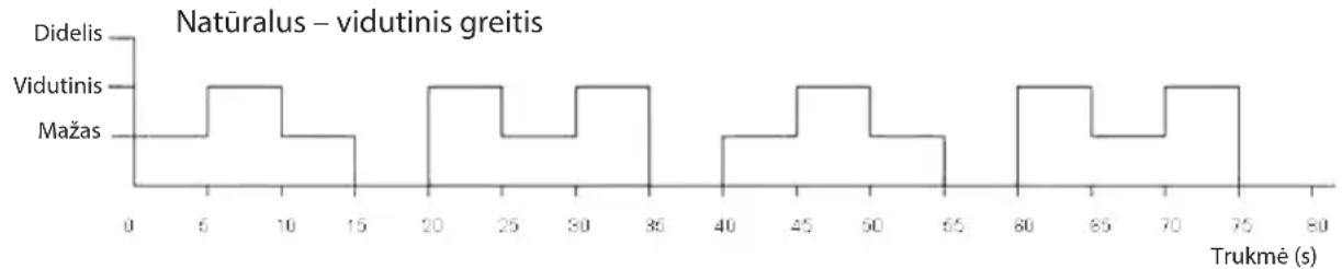 ECG FS 40 R - Ventiliatoriaus režimo nustatymas - 2