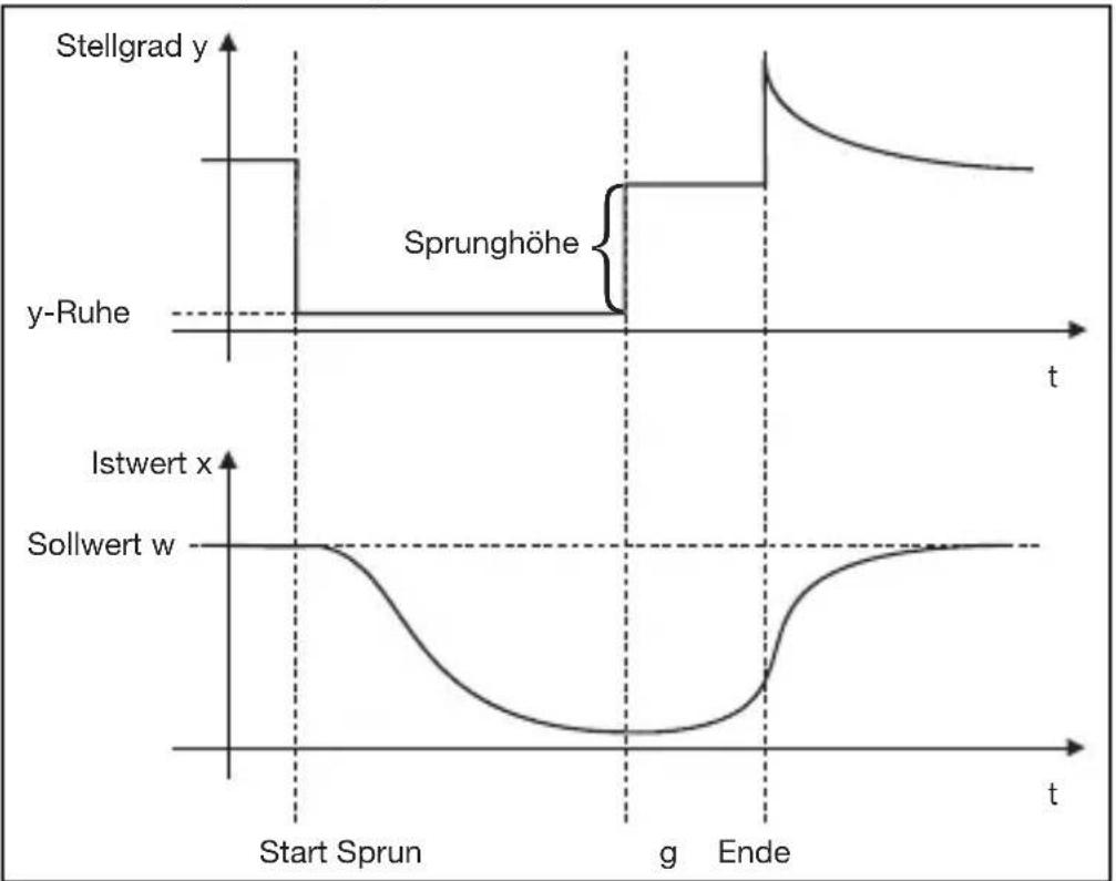 Jumo dTRON 304 - Hauptanwendungen der Sprungantwortmethode: - 3