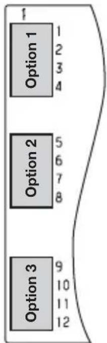 1 Option 1 1 2 3 4 Option 2 5 6 7 8 Option 3 9 10 11 12