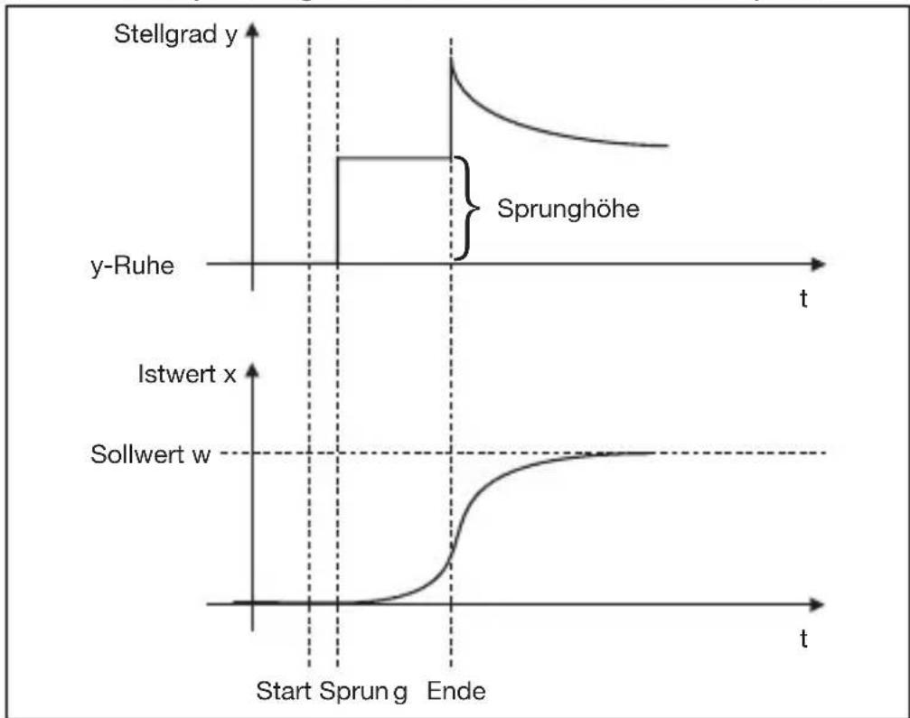 Jumo dTRON 304 - Hauptanwendungen der Sprungantwortmethode: - 2