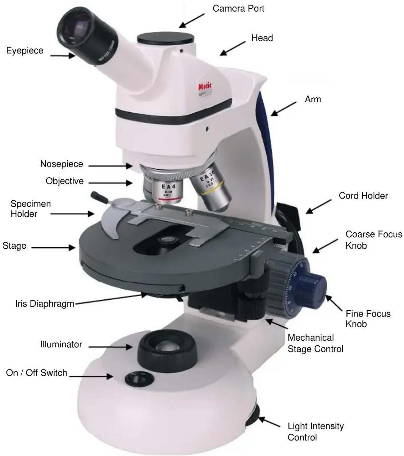 Camera Port Head Eyepiece Nosepiece Objective Specimen Holder Stage Iris Diaphragm Illuminator On / Off Switch Arm EA 4 0.30 24Hz EA 10 0.25 18.0 Cord Holder Coarse Focus Knob Fine Focus Knob Mechanical Stage Control Light Intensity Control
