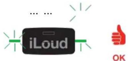IK Multimedia iLoud Precision 6 - 自定義校準 - 5