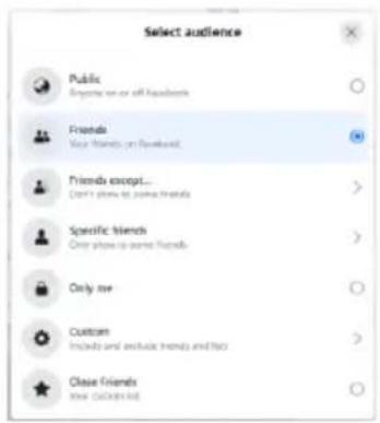 Select audience Public Anyone on or off bookbooks Friends Your friends on Facebook Friends except... Don't plan to some friends Specific friends One group is some friends Only new Custom Includes and exclude friends and files Close friends New Categorized