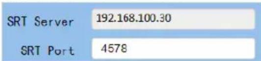 SRT Server 192.168.100.30 SRT Port 4578