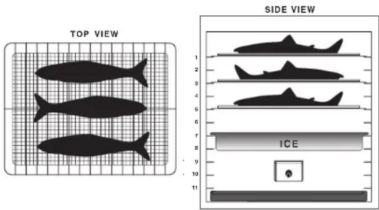 TOP VIEW SIDE VIEW 1 2 3 4 5 6 7 8 ICE 9 10 11