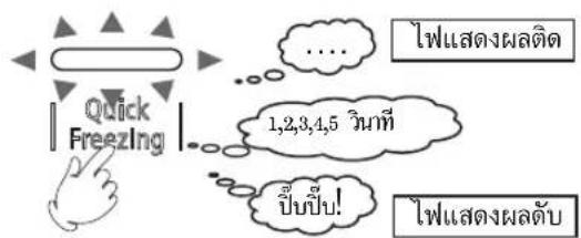 Quick Freezing 1,2,3,4,5 วันที่ ปีบปื้น! ไฟแสดงผลติด ไฟแสดงผลตับ